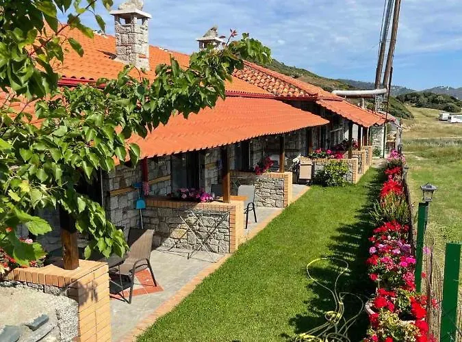 Theano Sarti